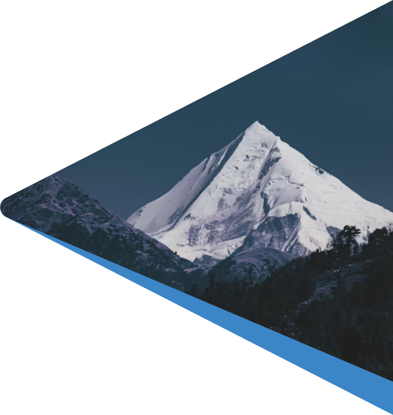 Triangle shape crop of a winter forest with green pines photography